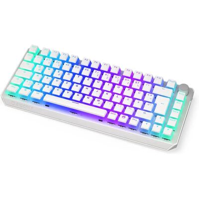 ENDORFY Thock 75% Trådlös Gaming-tangentbord, RGB, Kompakt ENDORFY Thock 75% Trådlös Gaming-tangentbord, RGB, Kompakt