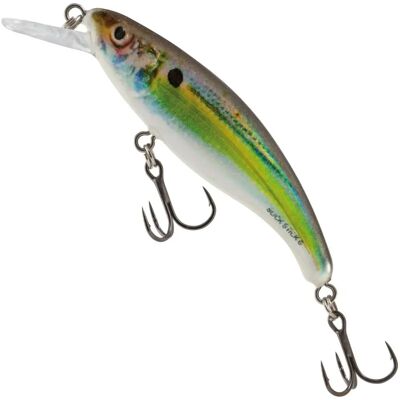 Salmo Marke Modell - Schwimmend, 6cm, Mehrfarben Salmo Marke Modell - Schwimmend, 6cm, Mehrfarben