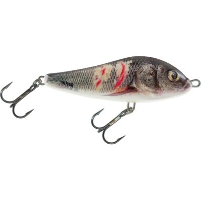 Salmo Rattlin' Slider Lockfisch 11cm - Supernatural Wounded Dace - Köder Salmo Rattlin' Slider Lockfisch 11cm - Supernatural Wounded Dace - Köder
