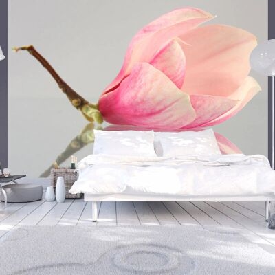 GBSHOP - Fotomurale - Fiore di magnolia solitario - 350x270 GBSHOP - Fotomurale - Fiore di magnolia solitario - 350x270