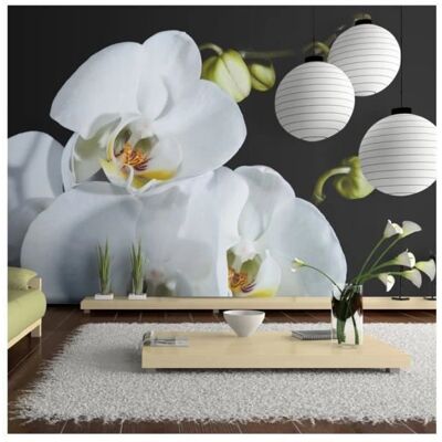 Papier peint Artgeist Phalaenopsis - Résistant à l'eau & Facile à poser - Publicité Papier peint Artgeist Phalaenopsis - Résistant à l'eau & Facile à poser - Publicité