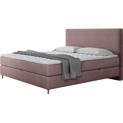 Mobilier1 Beloit 106, Poso 27 + Kronos 27 Cama doble de terciopelo - Cama Mobilier1 Beloit 106, Poso 27 + Kronos 27 Cama doble de terciopelo - Cama