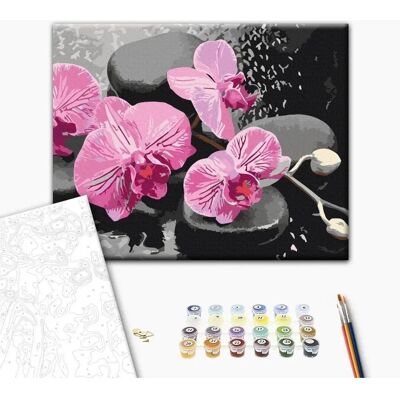 Zestaw Malowania DIY - Orchidea z Zen Kamieniami - Czarny Tło Zestaw Malowania DIY - Orchidea z Zen Kamieniami - Czarny Tło