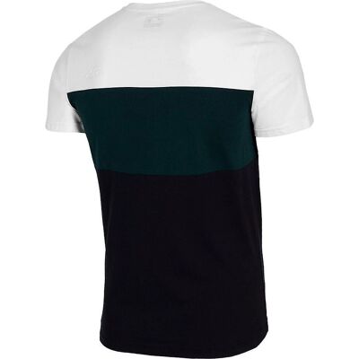 4F TSM016 H4L21TSM01611S - Universelles Herren-T-Shirt - Ganzes Jahr 4F TSM016 H4L21TSM01611S - Universelles Herren-T-Shirt - Ganzes Jahr