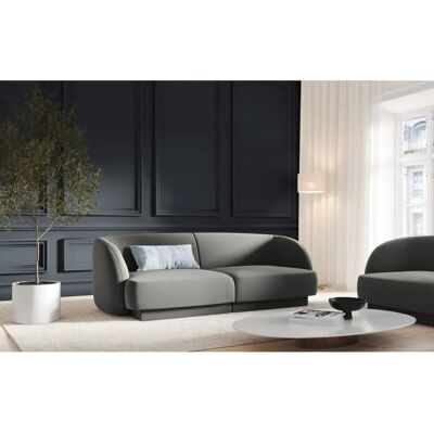 Micadoni Home Hellgrauer Samt 2-Sitzer - Sofa Micadoni Home Hellgrauer Samt 2-Sitzer - Sofa