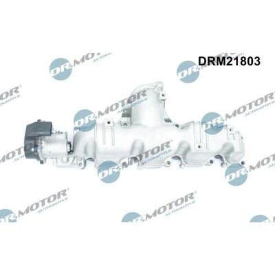 Dr.motor Automotive Intake Manifold Module - Compatible with Audi, VW, Seat, Skoda Dr.motor Automotive Intake Manifold Module - Compatible with Audi, VW, Seat, Skoda