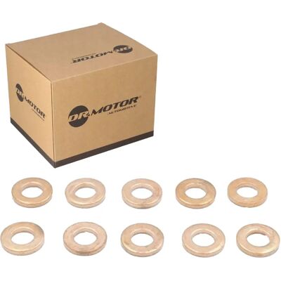 DR.MOTOR AUTOMOTIVE Kupferdichtungssatz für Einspritzanlage - Dichtungssatz DR.MOTOR AUTOMOTIVE Kupferdichtungssatz für Einspritzanlage - Dichtungssatz