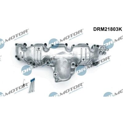 Dr.motor Automotive Collettore di Aspirazione per Audi A3 A4 A5 A6 Q5 - Modulo di Ingresso Dr.motor Automotive Collettore di Aspirazione per Audi A3 A4 A5 A6 Q5 - Modulo di Ingresso