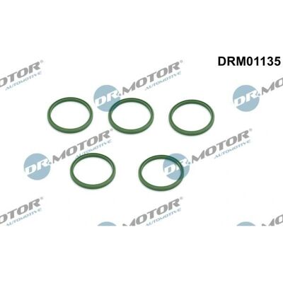 Dr.motor Automotive Dichtring - 43,95mm - για σωλήνα υπερπλήρωσης - Τύπος Προϊόντος Dr.motor Automotive Dichtring - 43,95mm - για σωλήνα υπερπλήρωσης - Τύπος Προϊόντος