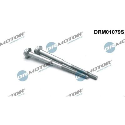 DR.MOTOR AUTOMOTIVE Ondersteuning voor injector - VW, Audi, Skoda DR.MOTOR AUTOMOTIVE Ondersteuning voor injector - VW, Audi, Skoda