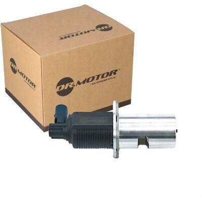 Dr.Motor Automotive DRM181103 EGR-Ventil - Elektrisch mit Dichtung Dr.Motor Automotive DRM181103 EGR-Ventil - Elektrisch mit Dichtung