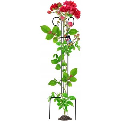 KADAX Steel Plant Support - 90cm - Supports Roses & Climbing Plants KADAX Steel Plant Support - 90cm - Supports Roses & Climbing Plants