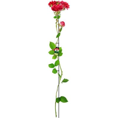 KADAX Steel Rose Support Clamp - 150cm Plant Support KADAX Steel Rose Support Clamp - 150cm Plant Support