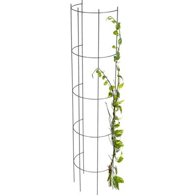 Pérgola de jardín Soporte metálico para flores rosas plantas columna 150cm Pérgola de jardín Soporte metálico para flores rosas plantas columna 150cm