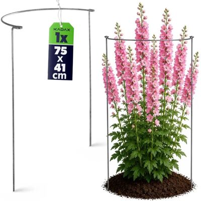 KADAX Pflanzenschutz 75cm - Pflanzenstütze für Garten KADAX Pflanzenschutz 75cm - Pflanzenstütze für Garten