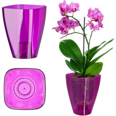 KADAX Lila Kunststoffabdeckung für Orchideen 9cm Elegantes Blumenbeet - Pflanzenschale KADAX Lila Kunststoffabdeckung für Orchideen 9cm Elegantes Blumenbeet - Pflanzenschale