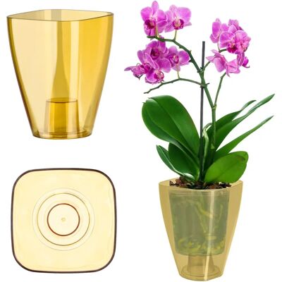KADAX Honig Orchideen Blumentopfabdeckung - 12cm Kunststoff KADAX Honig Orchideen Blumentopfabdeckung - 12cm Kunststoff