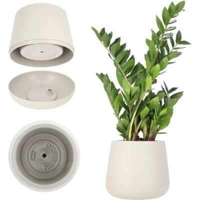 KADAX Beige Flower Pot 13cm with Stand - Flower Type KADAX Beige Flower Pot 13cm with Stand - Flower Type