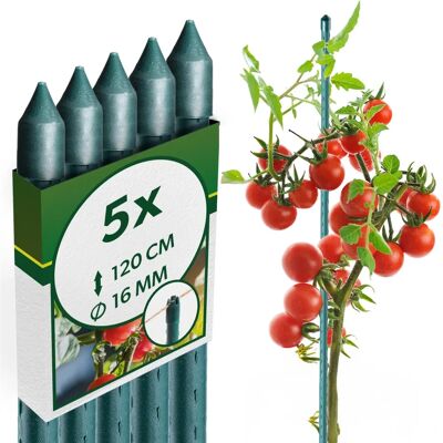 Kadax Pflanzenpfahl 120cm, Stahl, 5 Stück Kadax Pflanzenpfahl 120cm, Stahl, 5 Stück