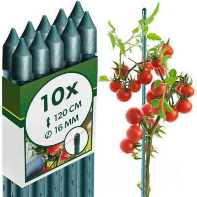 Kadax Pflanzenpfostenstütze - 120cm - 10 Stück Kadax Pflanzenpfostenstütze - 120cm - 10 Stück