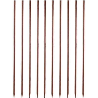 KADAX Estacas de soporte para plantas - Duraderas, Resistente al clima - 10 piezas KADAX Estacas de soporte para plantas - Duraderas, Resistente al clima - 10 piezas