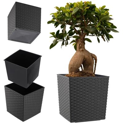 Kadax 25cm Gray Flower Pot with Lid and Insert Kadax 25cm Gray Flower Pot with Lid and Insert