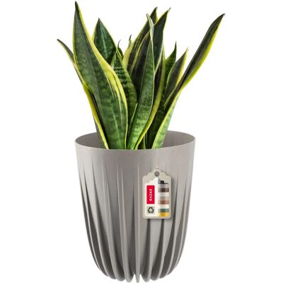 Kadax Eco Flower Pot with Drainage Insert - 14.5x17 cm Kadax Eco Flower Pot with Drainage Insert - 14.5x17 cm