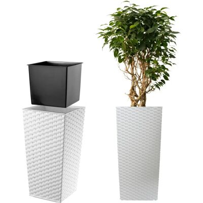 KADAX Hochblumenkübel 75cm - Gartentopf in Weiß KADAX Hochblumenkübel 75cm - Gartentopf in Weiß