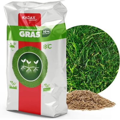 Kadax - Universal Fast-Germinating Grass Seeds - 10kg 400m2 Kadax - Universal Fast-Germinating Grass Seeds - 10kg 400m2