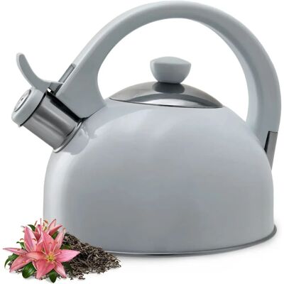KADAX Stainless Steel 1.7L Induction Kettle - Classic Retro KADAX Stainless Steel 1.7L Induction Kettle - Classic Retro