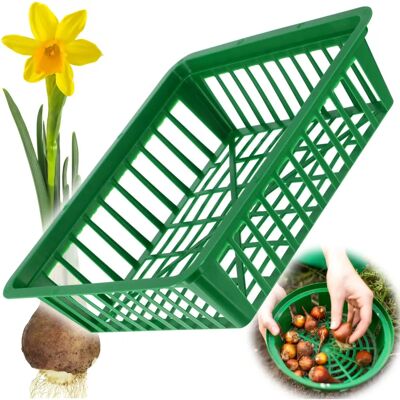 Kadax Plant Bulb Basket - 28cm Kadax Plant Bulb Basket - 28cm