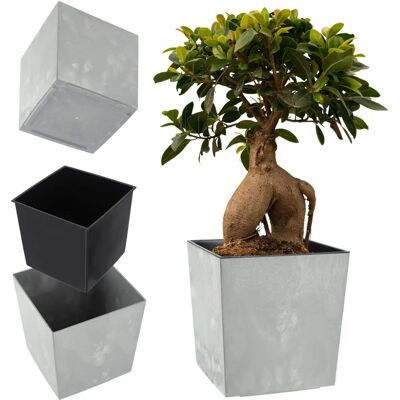 KADAX Flower Pot 19cm Grey with Insert - Elegant Durable Design KADAX Flower Pot 19cm Grey with Insert - Elegant Durable Design