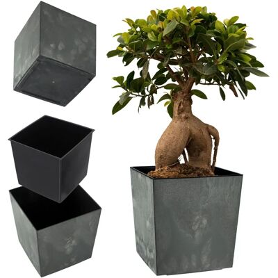 KADAX Flower Pot 25cm with Insert Black - Elegant Plastic Flower Bed KADAX Flower Pot 25cm with Insert Black - Elegant Plastic Flower Bed
