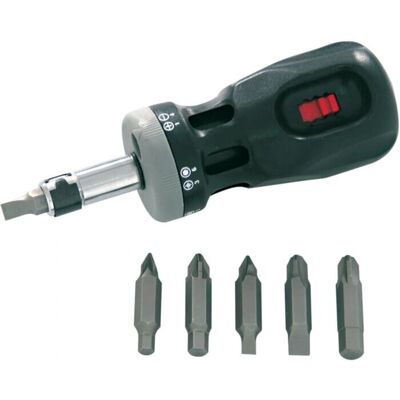 Proline Tools 10028 - Jeu de Tournevis à Cliquet - Publicité Proline Tools 10028 - Jeu de Tournevis à Cliquet - Publicité