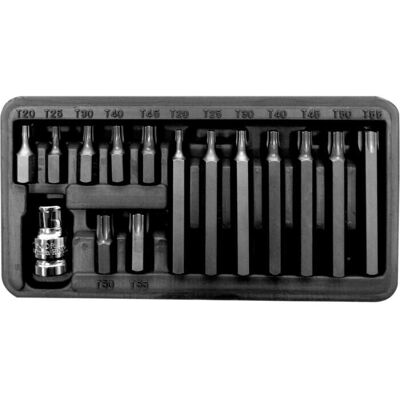 Proline Tools 10741 Schraubendreherbitsatz - 15 Stück Proline Tools 10741 Schraubendreherbitsatz - 15 Stück