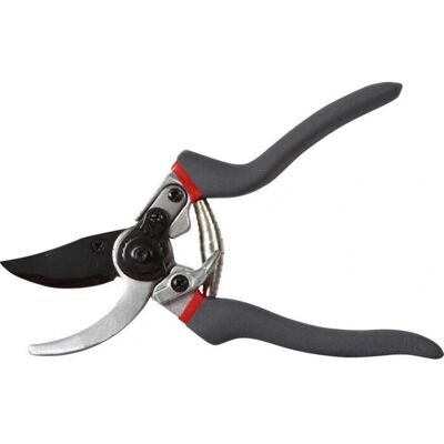 Proline Tools 40015 Gartenschneider - 225mm Schneiden - 19mm Proline Tools 40015 Gartenschneider - 225mm Schneiden - 19mm