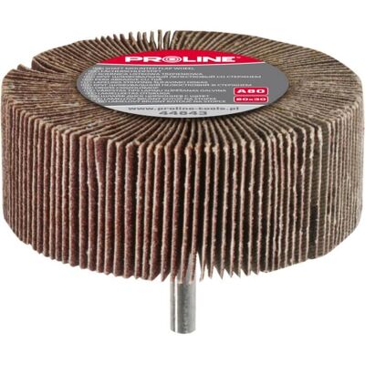 Accessoire de Meuleuse Proline Tools 44821 - Roue à Lamelles Cylindrique - Publicité Accessoire de Meuleuse Proline Tools 44821 - Roue à Lamelles Cylindrique - Publicité