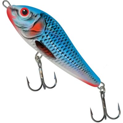 Salmo Rattlin Slider 11cm - Bleeding Blue Shad - Angelköder Salmo Rattlin Slider 11cm - Bleeding Blue Shad - Angelköder