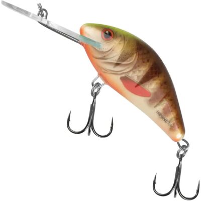 Salmo Hornet Pesca Trota Mangiato - Esche da Pesca Salmo Hornet Pesca Trota Mangiato - Esche da Pesca