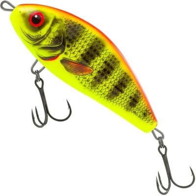 Salmo Fatso Potápivá Jasná Perch Salmo Fatso Potápivá Jasná Perch