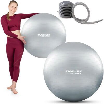 NeoSport Piłka do ćwiczeń 75 cm NS-952 - Srebrna - Piłka do ćwiczeń NeoSport Piłka do ćwiczeń 75 cm NS-952 - Srebrna - Piłka do ćwiczeń
