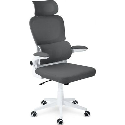 Krzesło biurowe Formax Graphite - Ergonomiczne, Regulowane, Nowoczesne Krzesło biurowe Formax Graphite - Ergonomiczne, Regulowane, Nowoczesne