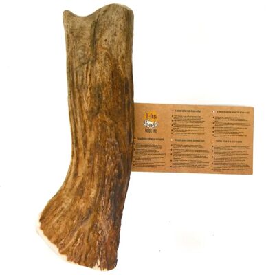RF-Deer - Poroże łosia HARD XXL - XXL - dog chew RF-Deer - Poroże łosia HARD XXL - XXL - dog chew