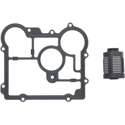 Filtro idraulico BorgWarner DS2006273 - Frizione Haldex - Asse posteriore Filtro idraulico BorgWarner DS2006273 - Frizione Haldex - Asse posteriore