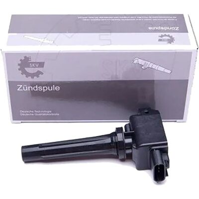 Esen Skv PE0118100 PE2018100 PE2018100A Zündspule - Zündspule Esen Skv PE0118100 PE2018100 PE2018100A Zündspule - Zündspule