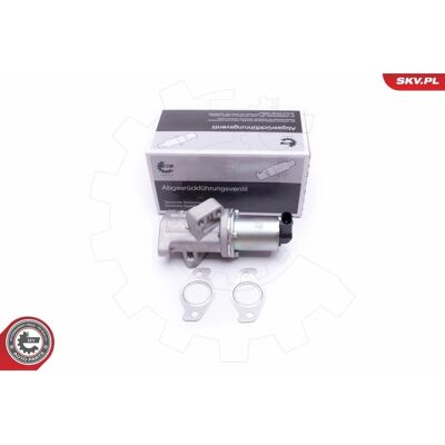 Esen SKV A53630007 - Válvula EGR para Hyundai y Kia Esen SKV A53630007 - Válvula EGR para Hyundai y Kia