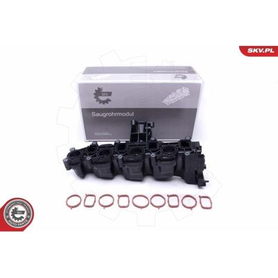 ESEN SKV Ansaugbrücke für Audi A1 A3 Seat Altea Ibiza Leon - Saugrohrmodul ESEN SKV Ansaugbrücke für Audi A1 A3 Seat Altea Ibiza Leon - Saugrohrmodul