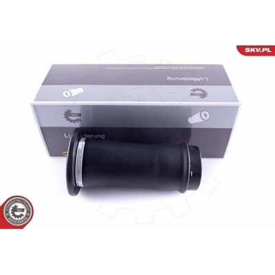 Esen SKV Land Rover Discovery Luftfederung hinten - Feder Esen SKV Land Rover Discovery Luftfederung hinten - Feder