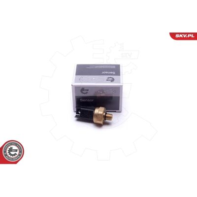 ESEN SKV 17SKV620 Kraftstoffdrucksensor für BMW Serien 1-7, X5, X6 ESEN SKV 17SKV620 Kraftstoffdrucksensor für BMW Serien 1-7, X5, X6