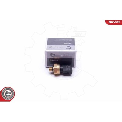 Sensore pressione carburante Esen SKV - Audi, Seat, Skoda, VW Sensore pressione carburante Esen SKV - Audi, Seat, Skoda, VW